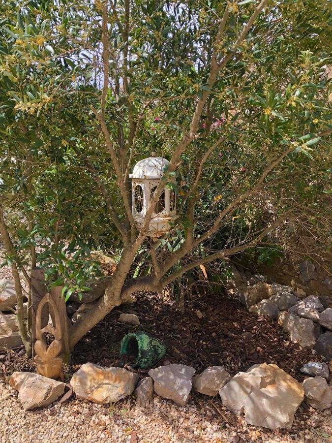 מלון Fitou Tilley Lounge Cocoon מראה חיצוני תמונה